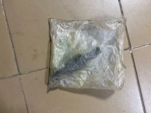 Сайлентблок